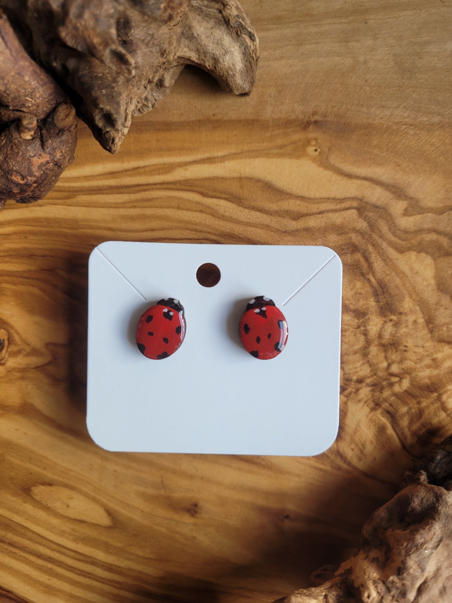 Ladybird Earrings - Original Painted Earrings
