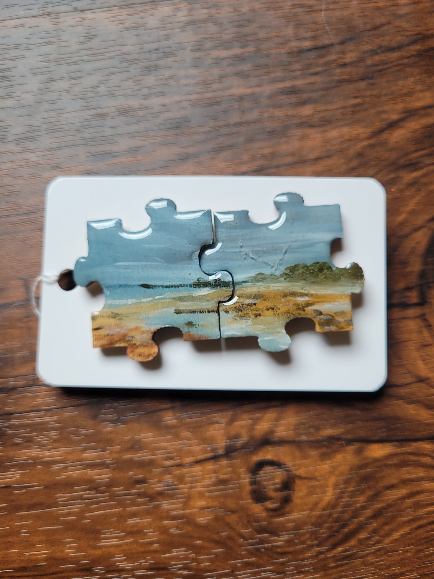 Painted Jigsaw Pin Set