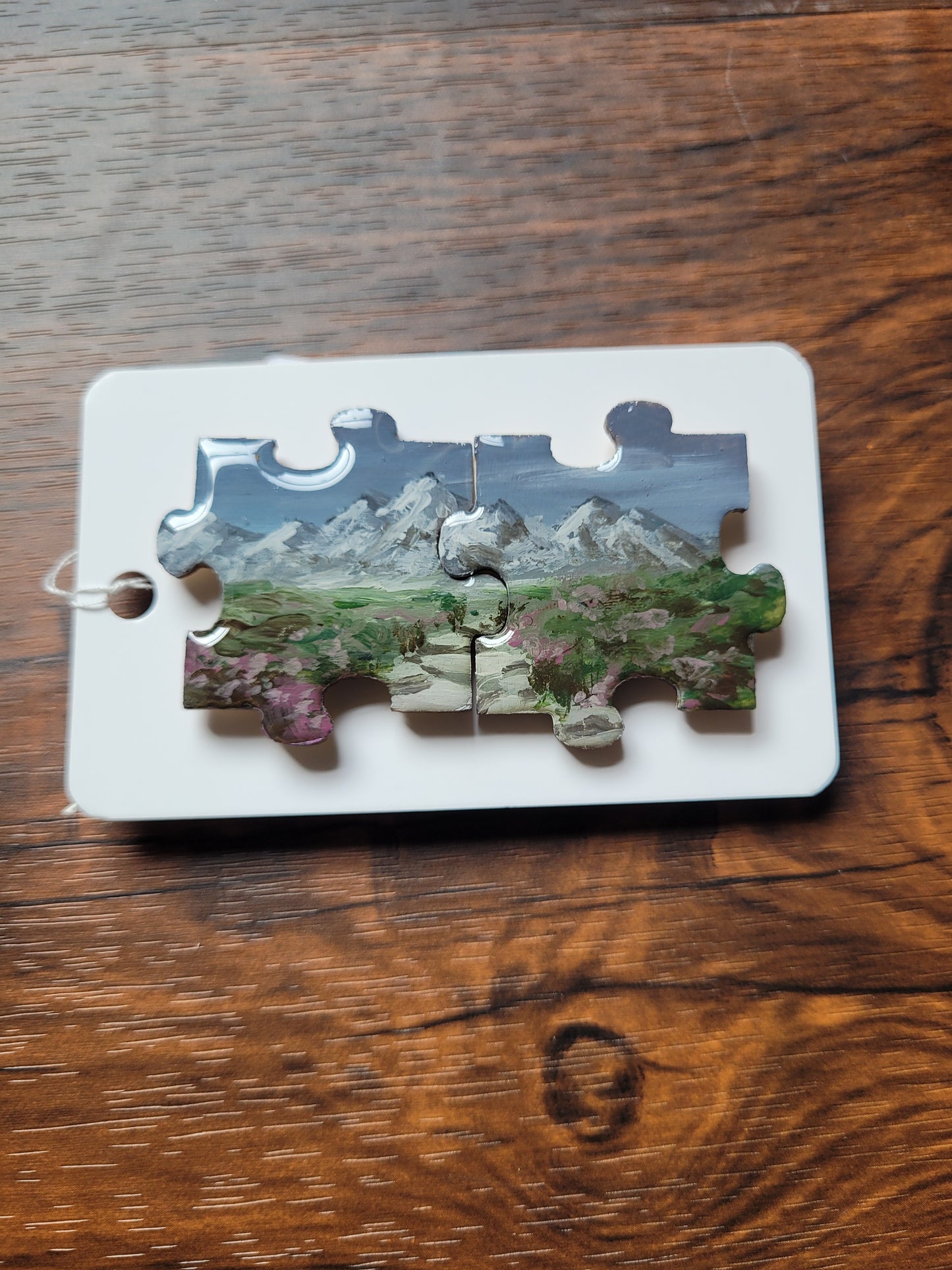 Painted Jigsaw Pin Set