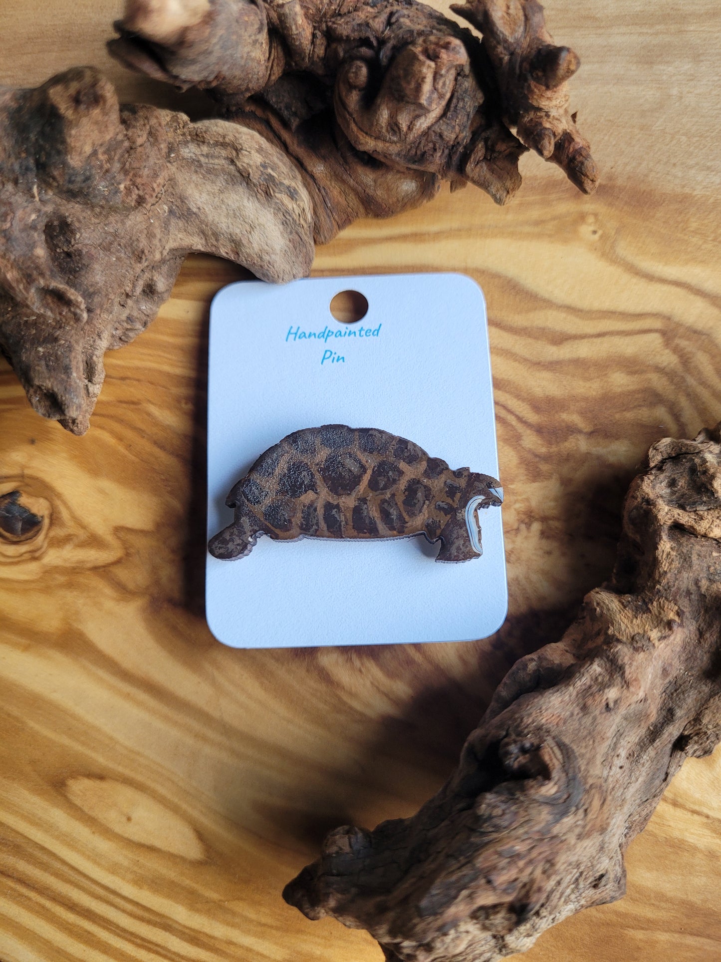 Tortoise Pins - Original Painted Pins