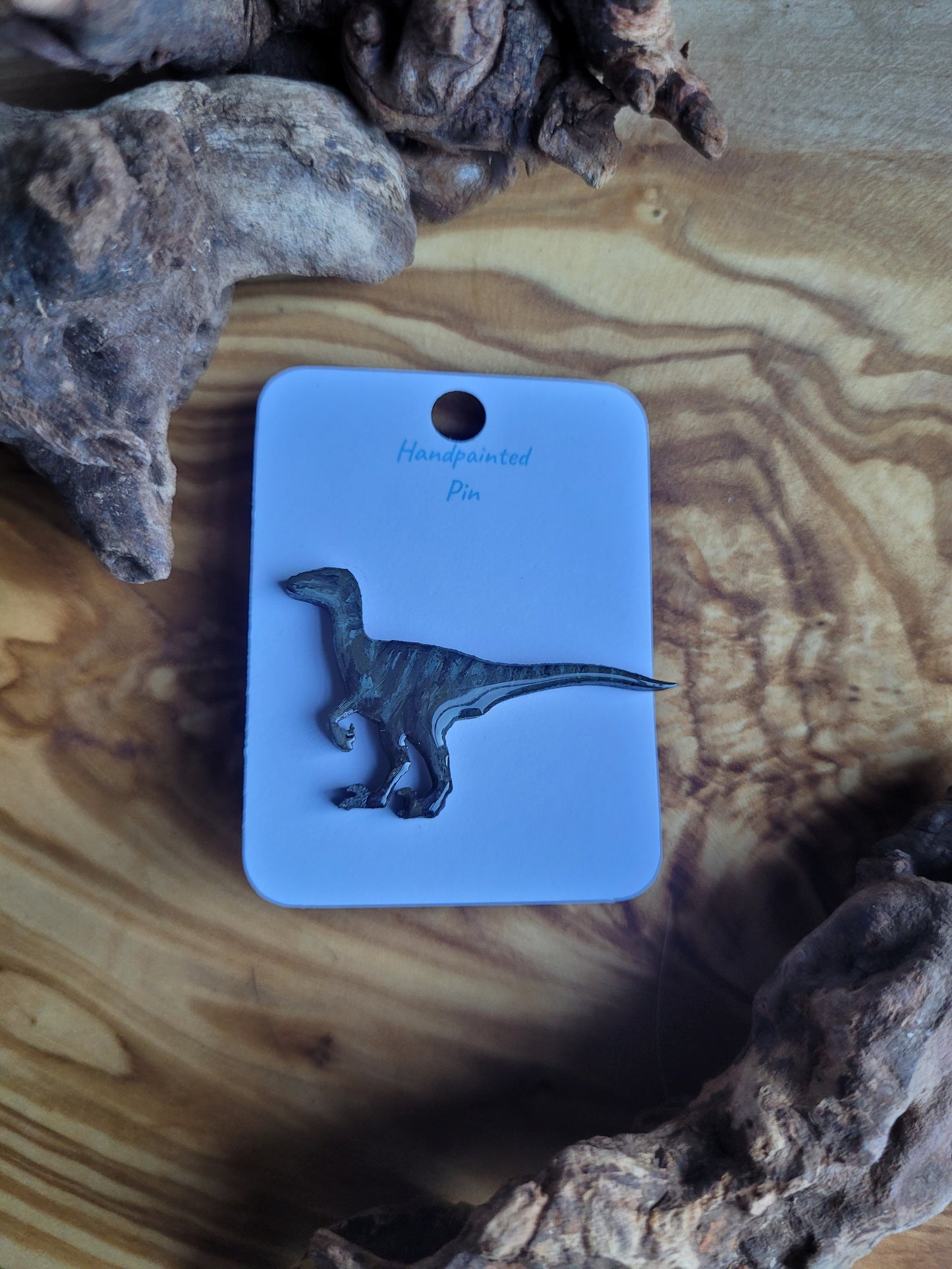 Dinosaur Pins - Original Painted Pins