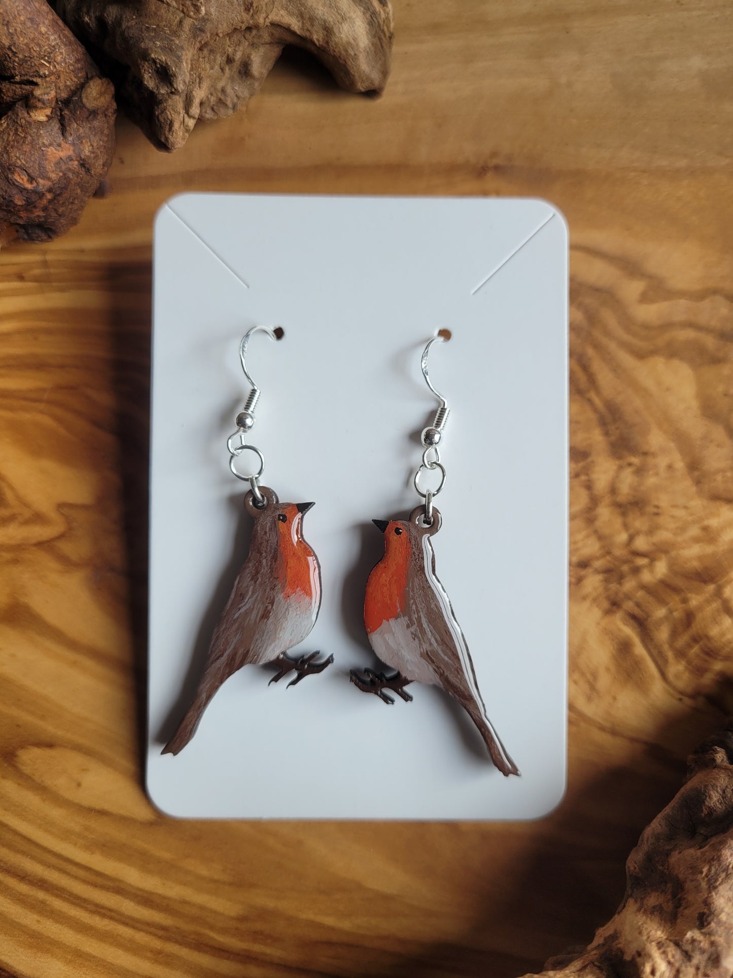 Robin Earrings - Original Painted Earrings