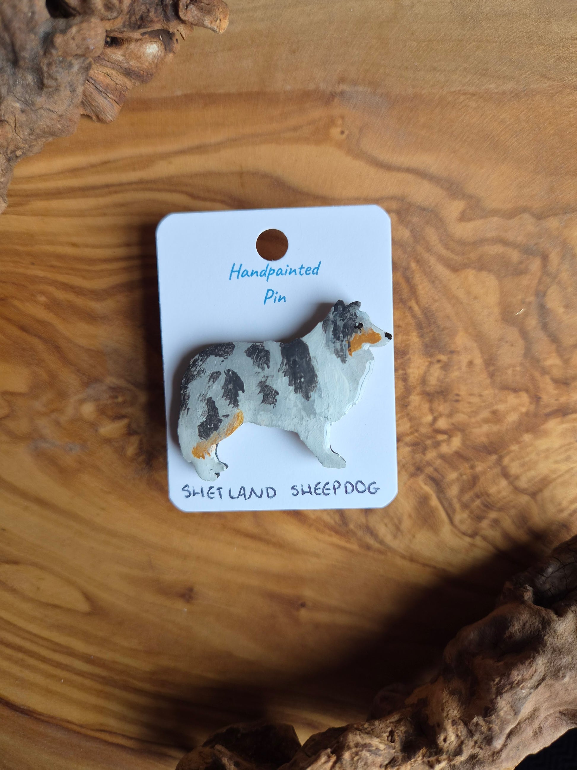 Hand-painted, tri coloured merle Shetland Sheepdog dog pin badge painted on wood