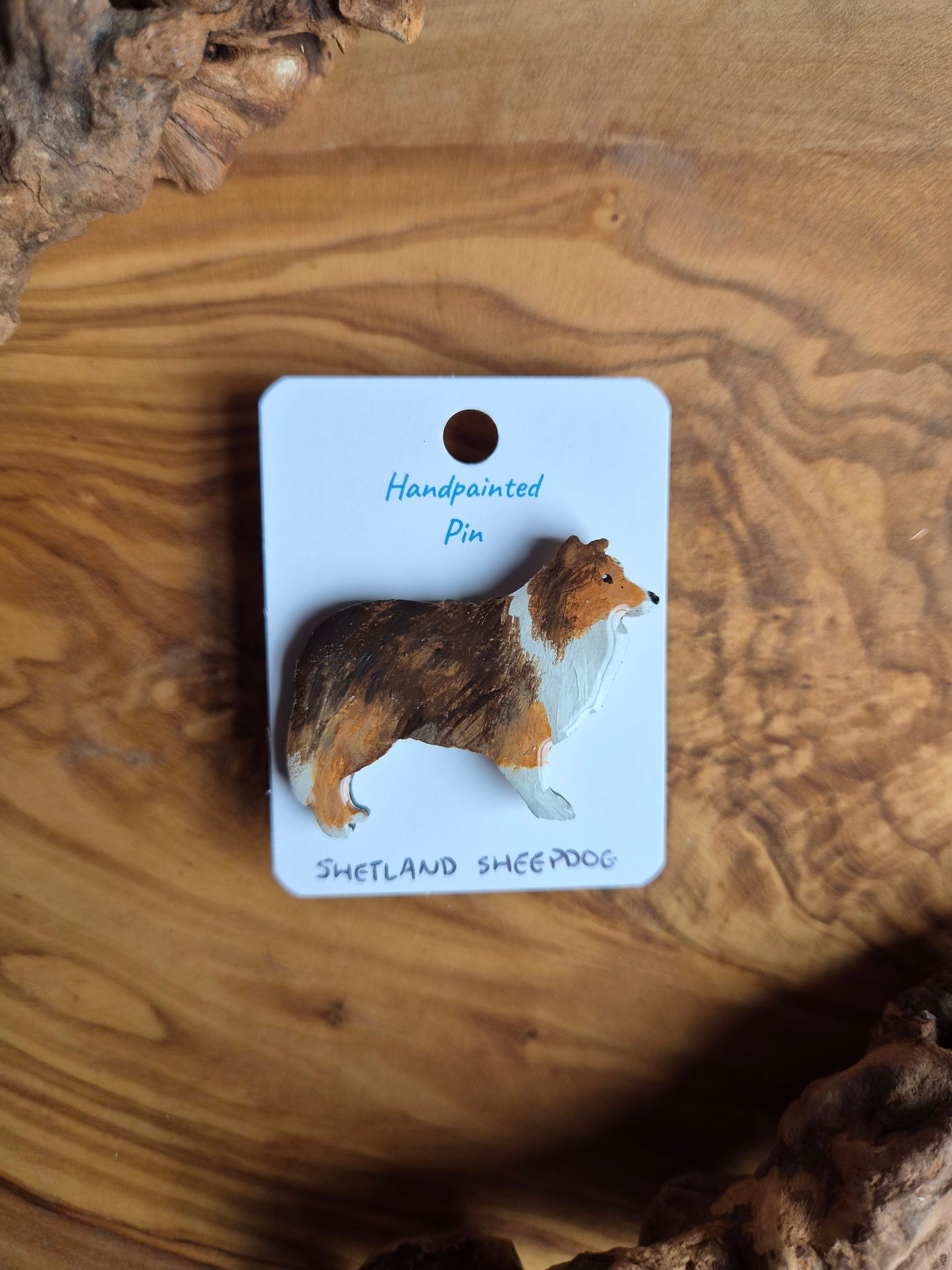 Hand-painted, dark sable coloured Shetland Sheepdog dog pin badge painted on wood