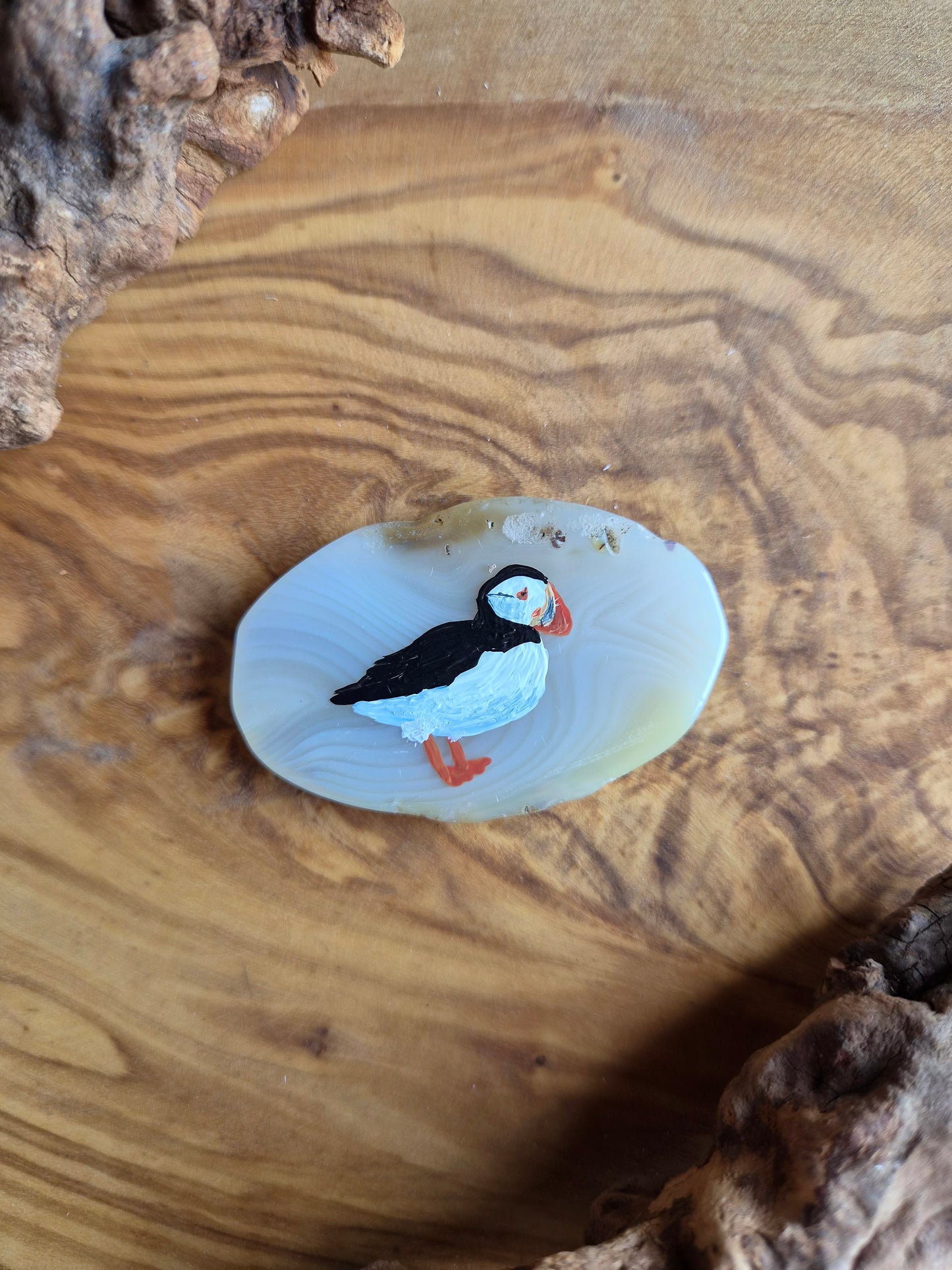 a small hand-painted natural agate slice with a painting of a puffin bird on it