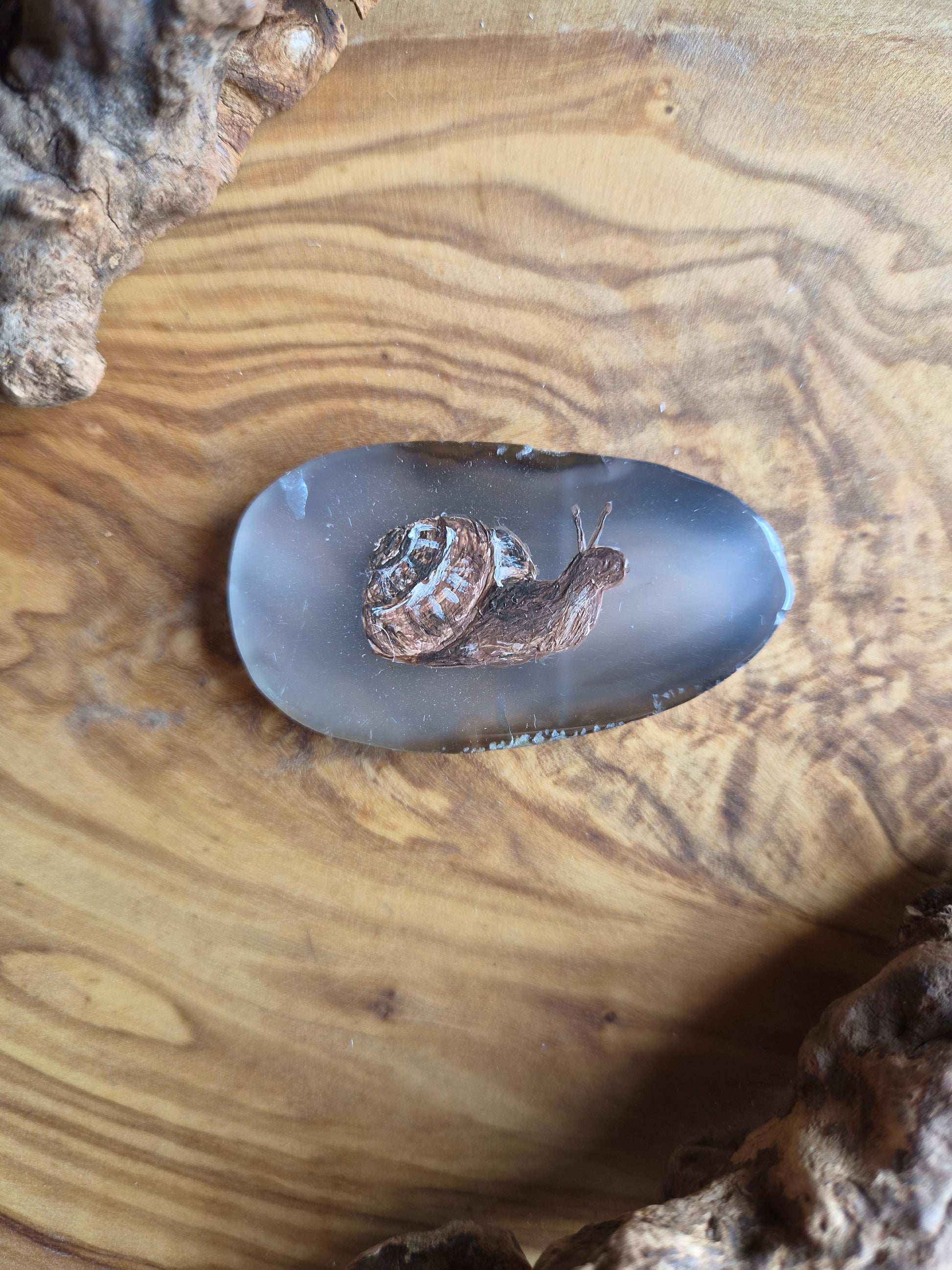 a small hand-painted natural agate slice with a painting of a snail on it
