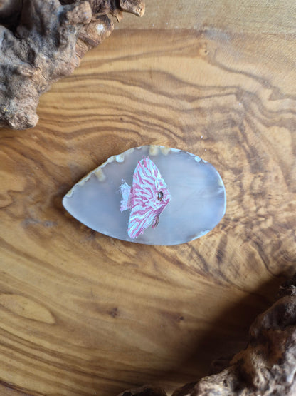 a small hand-painted natural agate slice with a painting of a discus fish on it