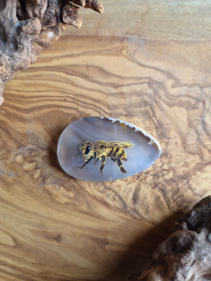 a small hand-painted natural agate slice with a painting of a bee on it