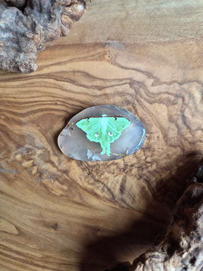 Hand-Painted Natural Agate Slice