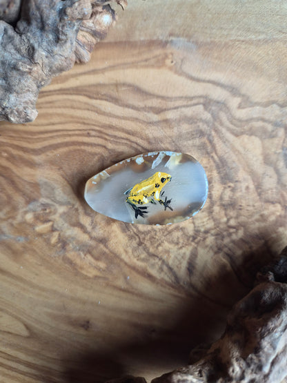 Hand-Painted Natural Agate Slice