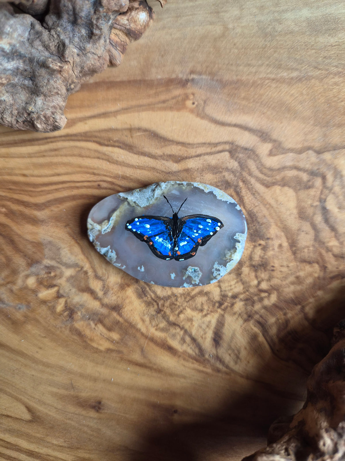 Hand-Painted Natural Agate Slice